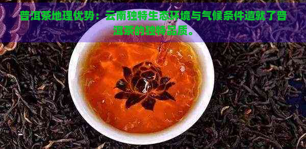 普洱茶地理优势：云南独特生态环境与气候条件造就了普洱茶的独特品质。