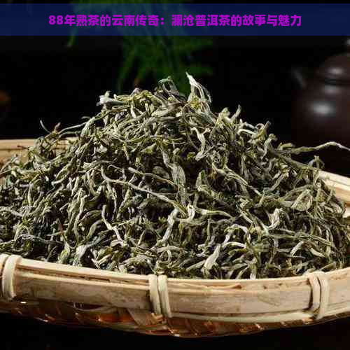 88年熟茶的云南传奇：澜沧普洱茶的故事与魅力