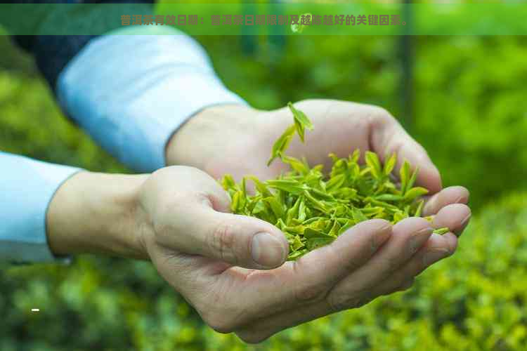 普洱茶有效日期：普洱茶日期限制及越陈越好的关键因素。