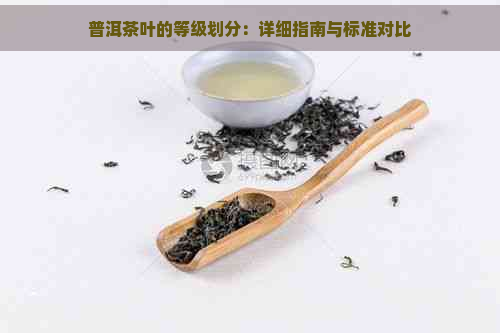 普洱茶叶的等级划分：详细指南与标准对比