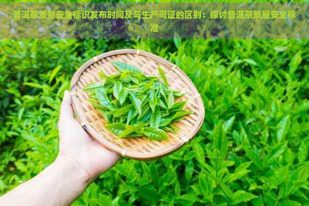 普洱茶质量安全标识发布时间及与生产可证的区别：探讨普洱茶质量安全标准