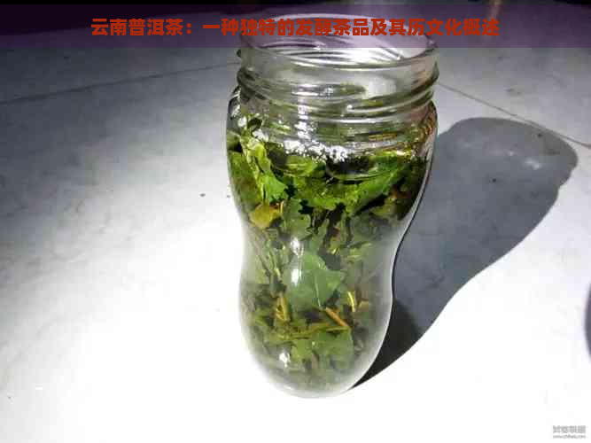 云南普洱茶：一种独特的发酵茶品及其历文化概述