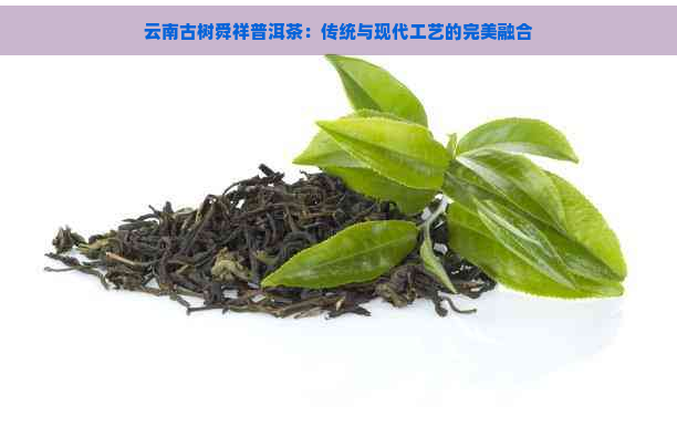 云南古树舜祥普洱茶：传统与现代工艺的完美融合