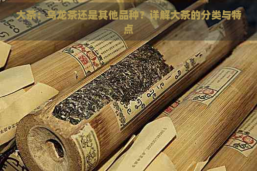 大茶：乌龙茶还是其他品种？详解大茶的分类与特点