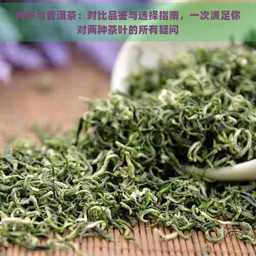 肉茶与普洱茶：对比品鉴与选择指南，一次满足你对两种茶叶的所有疑问