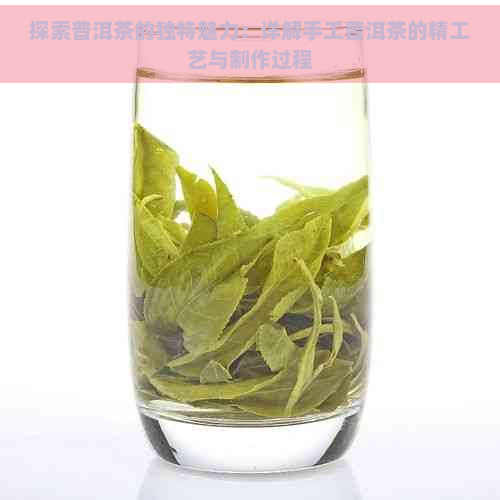 探索普洱茶的独特魅力：详解手工普洱茶的精工艺与制作过程