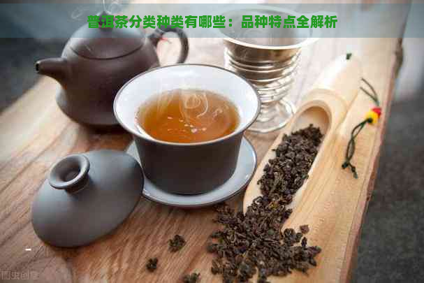 普洱茶分类种类有哪些：品种特点全解析