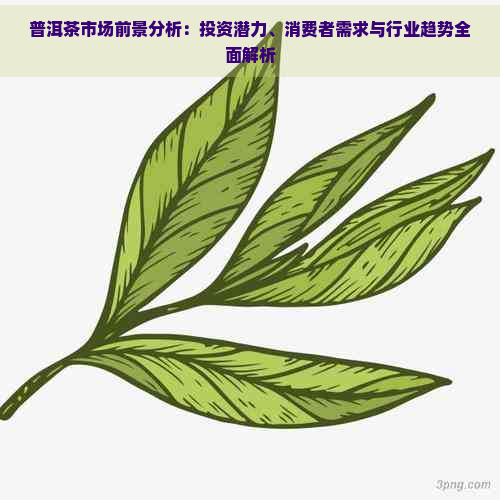 普洱茶市场前景分析：投资潜力、消费者需求与行业趋势全面解析