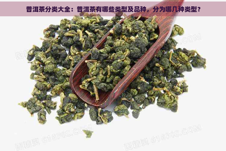 普洱茶分类大全：普洱茶有哪些类型及品种，分为哪几种类型？