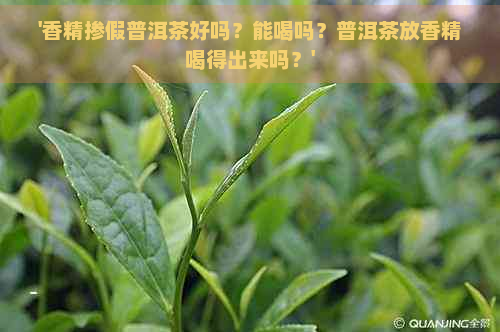 '香精掺假普洱茶好吗？能喝吗？普洱茶放香精喝得出来吗？'