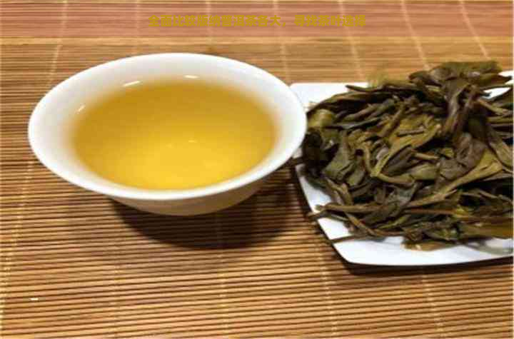 全面比较版纳普洱茶各大，寻找茶叶选择