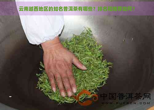 云南越西地区的知名普洱茶有哪些？排名和推荐如何？