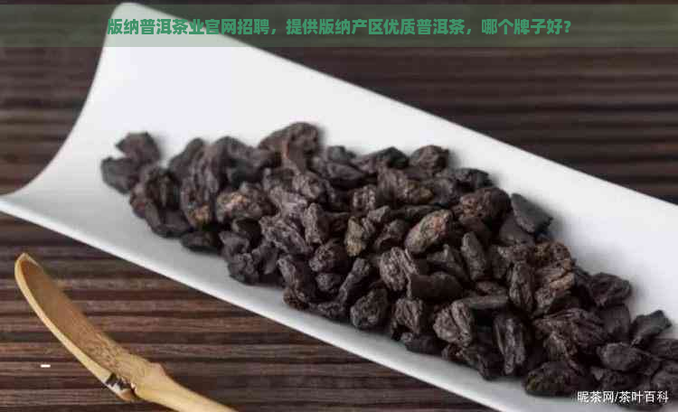 版纳普洱茶业官网招聘，提供版纳产区优质普洱茶，哪个牌子好？