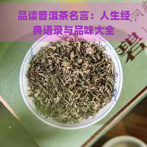 品读普洱茶名言：人生经典语录与品味大全