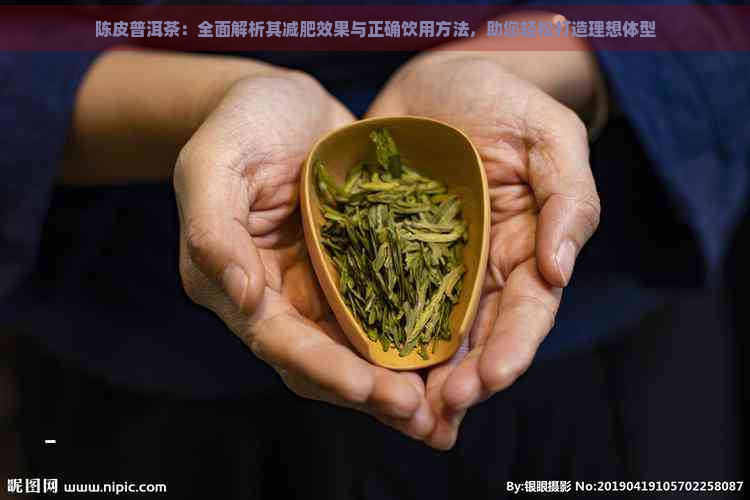 陈皮普洱茶：全面解析其减肥效果与正确饮用方法，助您轻松打造理想体型