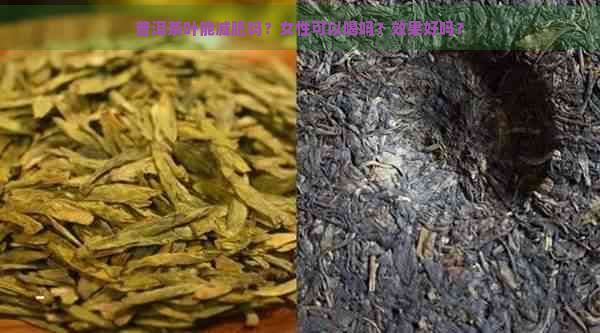 普洱茶叶能减肥吗？女性可以喝吗？效果好吗？