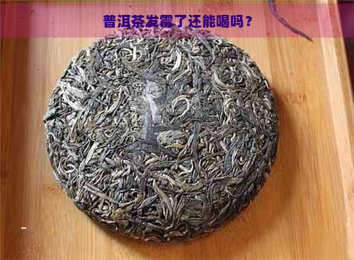 普洱茶发霉了还能喝吗？