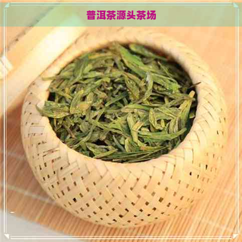 普洱茶源头茶场