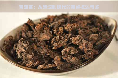 普洱茶：从起源到现代的完整概述与鉴