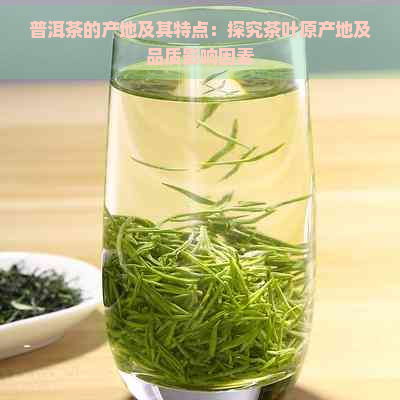 普洱茶的产地及其特点：探究茶叶原产地及品质影响因素