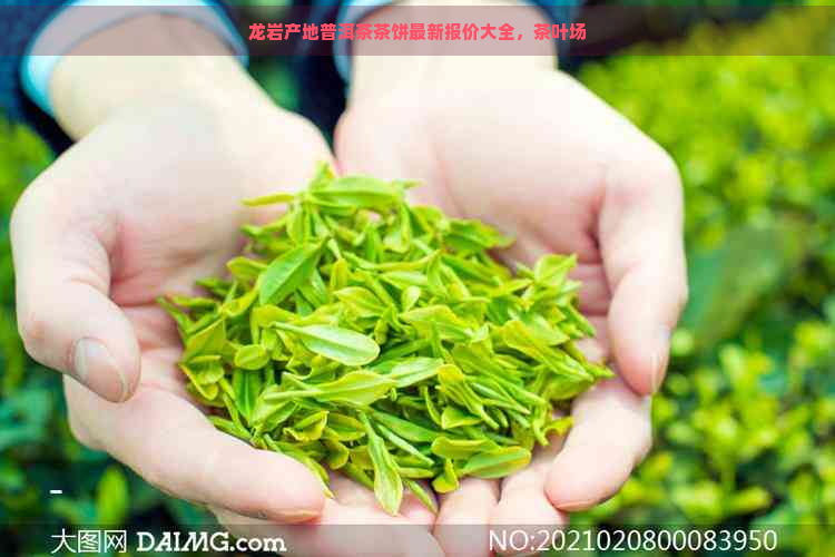 龙岩产地普洱茶茶饼最新报价大全，茶叶场