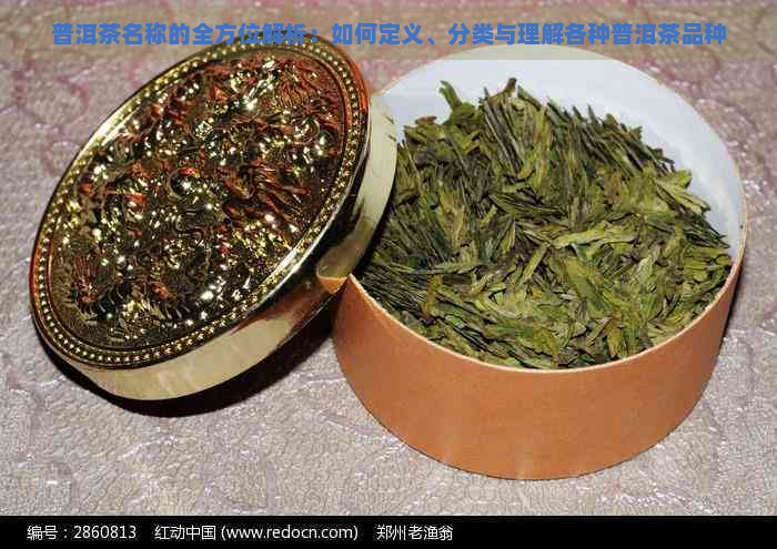 普洱茶名称的全方位解析：如何定义、分类与理解各种普洱茶品种