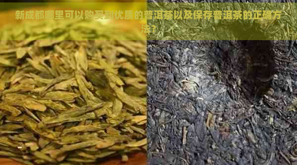 新成都哪里可以购买到优质的普洱茶以及保存普洱茶的正确方法？