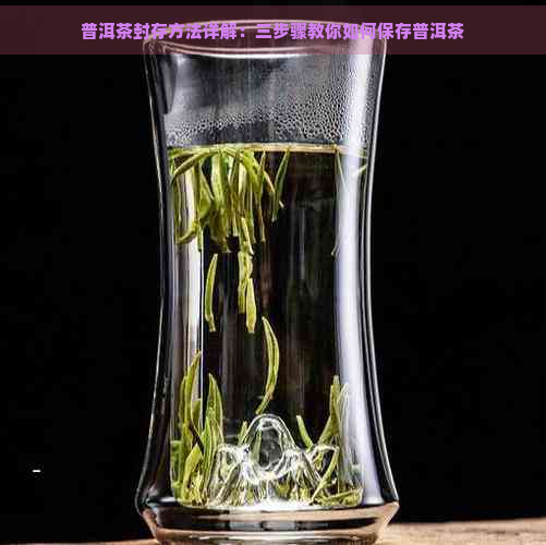 普洱茶封存方法详解：三步骤教你如何保存普洱茶