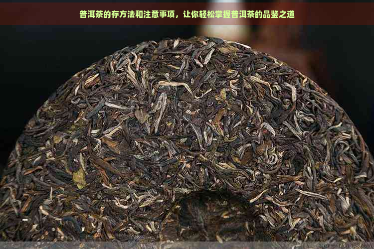 普洱茶的存方法和注意事项，让你轻松掌握普洱茶的品鉴之道