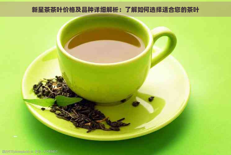 新星茶茶叶价格及品种详细解析：了解如何选择适合您的茶叶