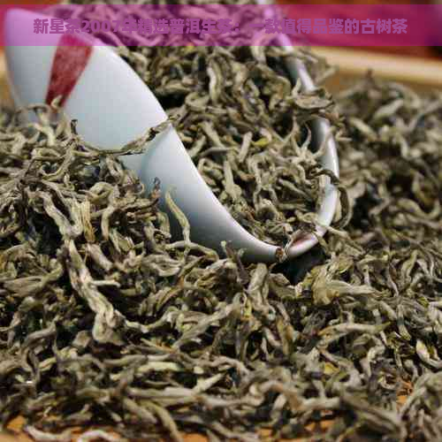 新星茶2007年精选普洱生茶：一款值得品鉴的古树茶