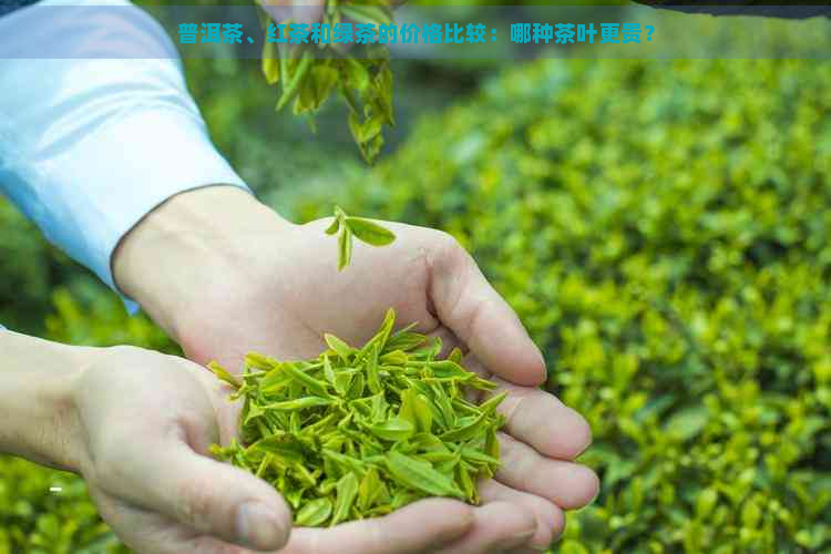 普洱茶、红茶和绿茶的价格比较：哪种茶叶更贵？