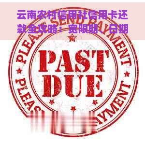 云南农村信用社信用卡还款全攻略：宽限期、日期查询、还款方式详解