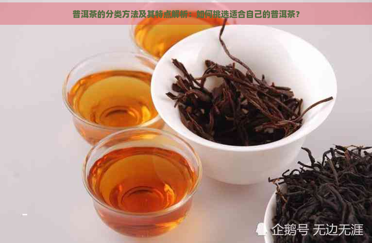 普洱茶的分类方法及其特点解析：如何挑选适合自己的普洱茶？