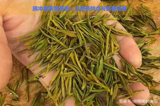 腾冲老寨普洱茶：古树茶特点与品鉴指南