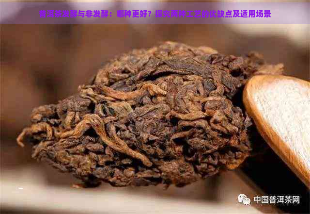 普洱茶发酵与非发酵：哪种更好？探究两种工艺的优缺点及适用场景