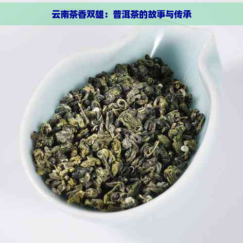 云南茶香双雄：普洱茶的故事与传承