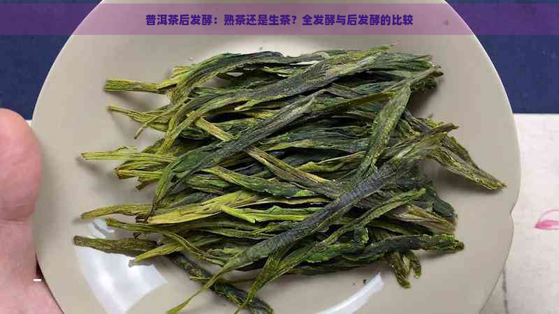 普洱茶后发酵：熟茶还是生茶？全发酵与后发酵的比较