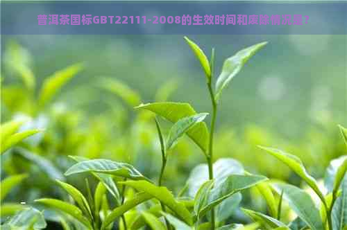 普洱茶国标GBT22111-2008的生效时间和废除情况是？