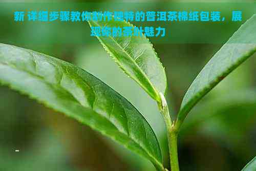 新 详细步骤教你制作独特的普洱茶棉纸包装，展现你的茶叶魅力