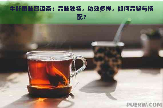 牛肝菌味普洱茶：品味独特，功效多样，如何品鉴与搭配？