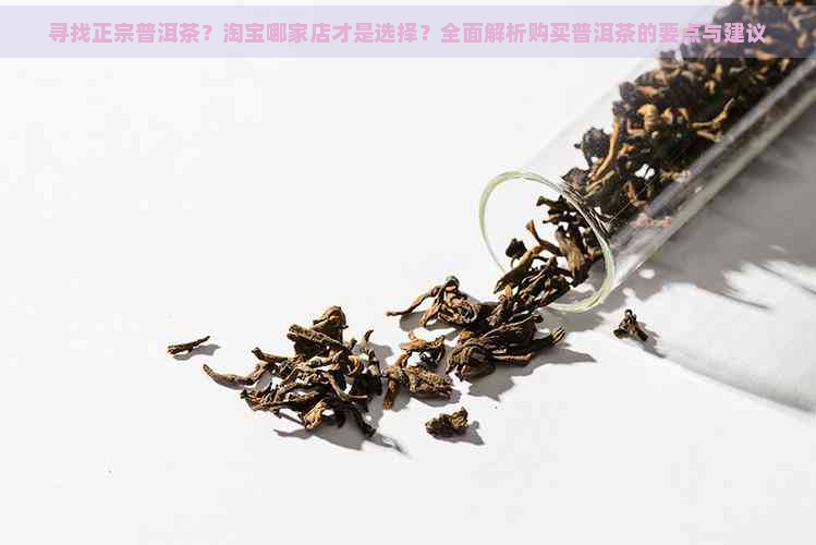 寻找正宗普洱茶？淘宝哪家店才是选择？全面解析购买普洱茶的要点与建议