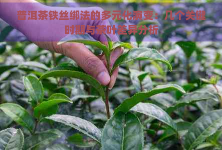 普洱茶铁丝绑法的多元化演变：几个关键时期与茶叶差异分析