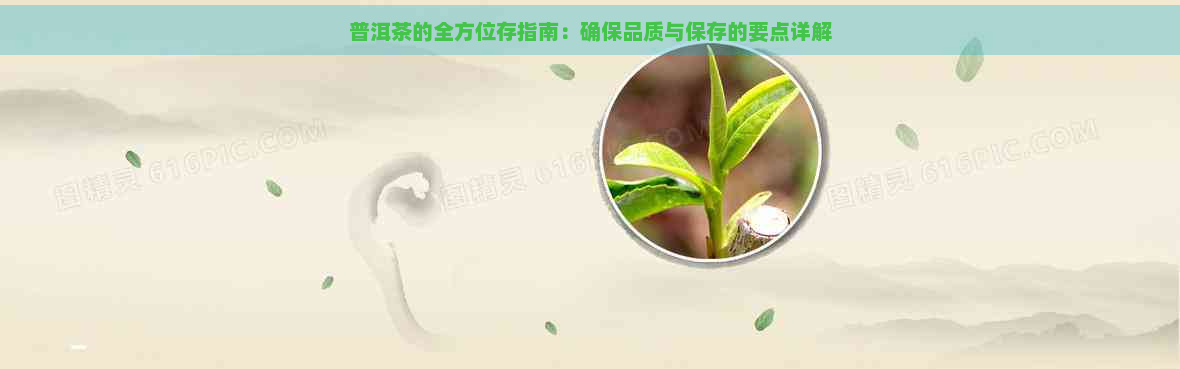 普洱茶的全方位存指南：确保品质与保存的要点详解