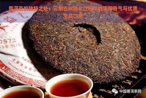 普洱茶的独特之处：云南古树陈化过程中的深厚香气与优质生茶口感