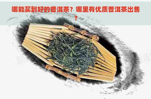 哪能买到好的普洱茶？哪里有优质普洱茶出售？