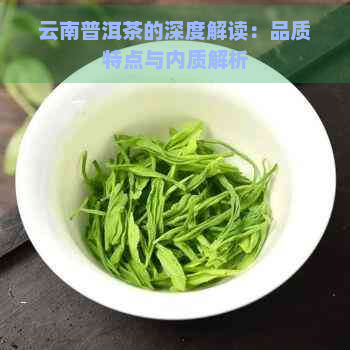 云南普洱茶的深度解读：品质特点与内质解析