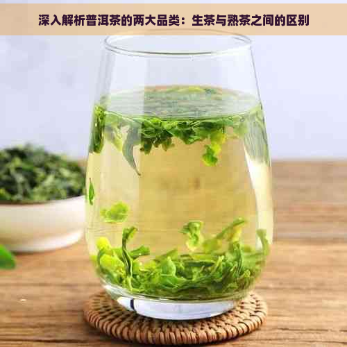 深入解析普洱茶的两大品类：生茶与熟茶之间的区别