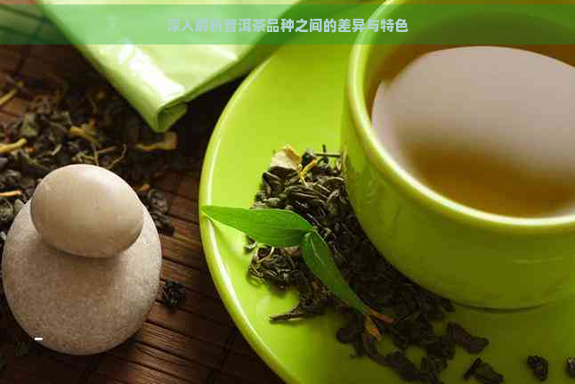 深入解析普洱茶品种之间的差异与特色