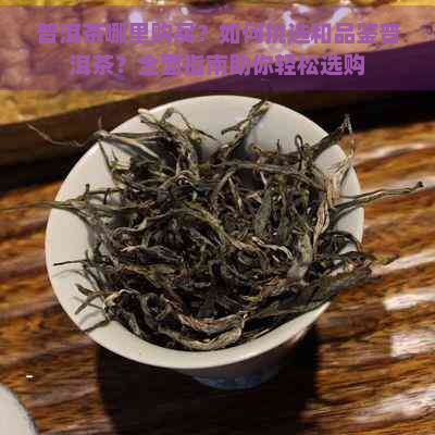 普洱茶哪里购买？如何挑选和品鉴普洱茶？全面指南助你轻松选购